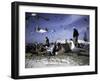 Fish Market in Morocco-Michael Brown-Framed Photographic Print