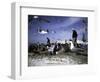 Fish Market in Morocco-Michael Brown-Framed Photographic Print