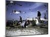 Fish Market in Morocco-Michael Brown-Mounted Photographic Print