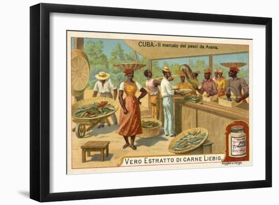 Fish Market of Havana, Cuba-null-Framed Giclee Print