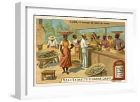 Fish Market of Havana, Cuba-null-Framed Giclee Print