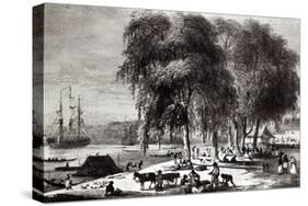 Fish Market, Paramribo, from Voyage a Surinam, 1834-Pierre J. Benoit-Stretched Canvas