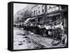 Fish Market, Philadelphia, Pennsylvania-null-Framed Stretched Canvas