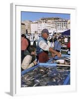 Fish Market, Vieux Port, Marseille, Bouches Du Rhone, Provence, France-Guy Thouvenin-Framed Photographic Print