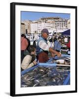 Fish Market, Vieux Port, Marseille, Bouches Du Rhone, Provence, France-Guy Thouvenin-Framed Photographic Print