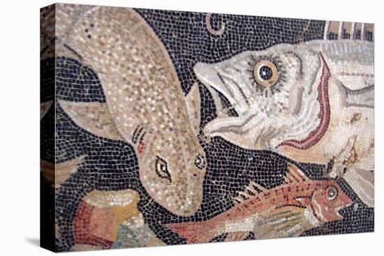 Fish Mosaic-null-Stretched Canvas