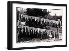 Fish Nailed on Boards-null-Framed Art Print