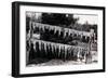 Fish Nailed on Boards-null-Framed Premium Giclee Print