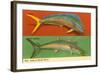 Fish Native to Florida Waters-null-Framed Art Print