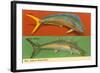 Fish Native to Florida Waters-null-Framed Art Print