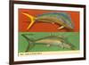 Fish Native to Florida Waters-null-Framed Premium Giclee Print