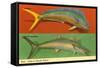 Fish Native to Florida Waters-null-Framed Stretched Canvas