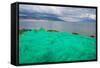 Fish net on the shore of Sayram Lake, Yining (Ghulja), Xinjiang Province, China-Keren Su-Framed Stretched Canvas