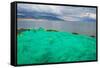 Fish net on the shore of Sayram Lake, Yining (Ghulja), Xinjiang Province, China-Keren Su-Framed Stretched Canvas