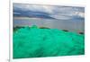 Fish net on the shore of Sayram Lake, Yining (Ghulja), Xinjiang Province, China-Keren Su-Framed Photographic Print