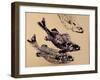 fish (oil on paper)-jocasta shakespeare-Framed Giclee Print