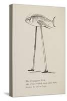 Fish On Stilts From Nonsense Botany Animals and Other Poems Written and Drawn by Edward Lear-Edward Lear-Stretched Canvas