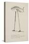 Fish On Stilts From Nonsense Botany Animals and Other Poems Written and Drawn by Edward Lear-Edward Lear-Stretched Canvas