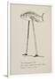 Fish On Stilts From Nonsense Botany Animals and Other Poems Written and Drawn by Edward Lear-Edward Lear-Framed Giclee Print