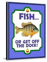 Fish or Get Off Dock-Mark Frost-Stretched Canvas