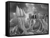 Fish out of Water-Thomas Barbey-Framed Stretched Canvas