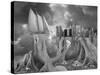 Fish out of Water-Thomas Barbey-Stretched Canvas