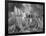 Fish out of Water-Thomas Barbey-Framed Giclee Print