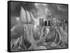 Fish out of Water-Thomas Barbey-Framed Stretched Canvas