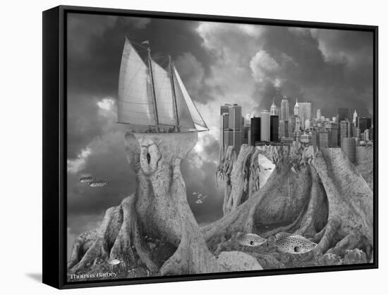 Fish out of Water-Thomas Barbey-Framed Stretched Canvas