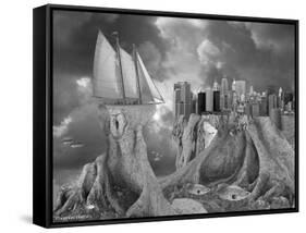 Fish out of Water-Thomas Barbey-Framed Stretched Canvas