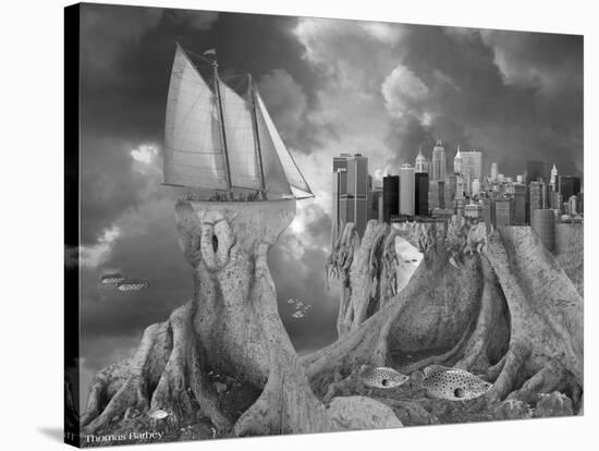 Fish out of Water-Thomas Barbey-Stretched Canvas
