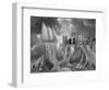 Fish out of Water-Thomas Barbey-Framed Premium Giclee Print