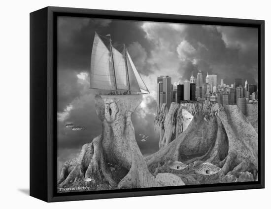 Fish out of Water-Thomas Barbey-Framed Stretched Canvas