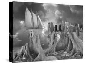 Fish out of Water-Thomas Barbey-Stretched Canvas