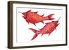 Fish Pisces, 1996-Jane Tattersfield-Framed Giclee Print