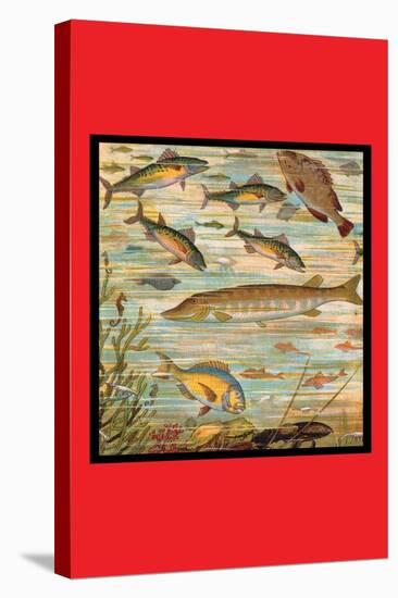 Fish Pond-null-Stretched Canvas