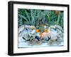 Fish Restaurant Display, Rethymnon, Crete, Greece-Peter Thompson-Framed Photographic Print