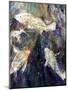 Fish Rising detail 1-jocasta shakespeare-Mounted Giclee Print