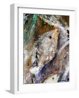 Fish Rising detail 2-jocasta shakespeare-Framed Giclee Print