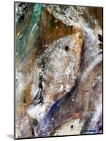 Fish Rising detail 2-jocasta shakespeare-Mounted Giclee Print