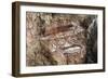 Fish, Rock Painting, Arnhem Land, Northern Territory, Australia, Aboriginal Culture-null-Framed Giclee Print