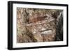 Fish, Rock Painting, Arnhem Land, Northern Territory, Australia, Aboriginal Culture-null-Framed Giclee Print