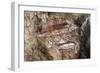 Fish, Rock Painting, Arnhem Land, Northern Territory, Australia, Aboriginal Culture-null-Framed Giclee Print