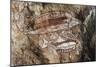 Fish, Rock Painting, Arnhem Land, Northern Territory, Australia, Aboriginal Culture-null-Mounted Giclee Print