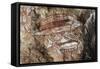 Fish, Rock Painting, Arnhem Land, Northern Territory, Australia, Aboriginal Culture-null-Framed Stretched Canvas