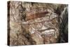 Fish, Rock Painting, Arnhem Land, Northern Territory, Australia, Aboriginal Culture-null-Stretched Canvas