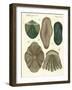 Fish Scales-null-Framed Giclee Print