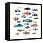 Fish School I-Annie Warren-Framed Stretched Canvas