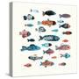 Fish School I-Annie Warren-Stretched Canvas