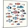 Fish School II-Annie Warren-Mounted Art Print